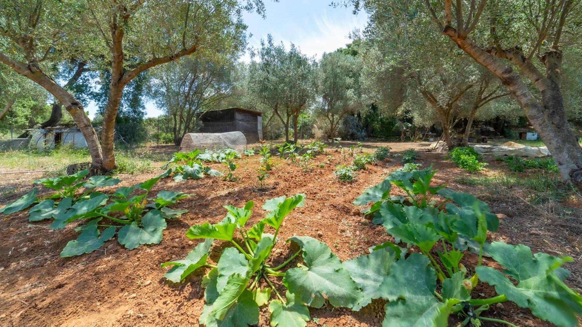 Villa Galini Stella Spartià Esterno foto